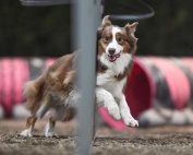 Foto von Pamela Bühler - Lebendige Fotos